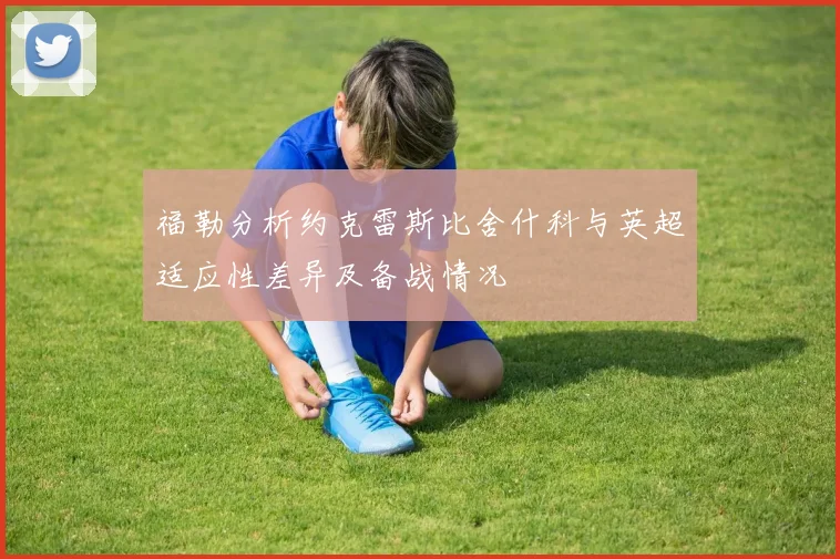 福勒分析约克雷斯比舍什科与英超适应性差异及备战情况