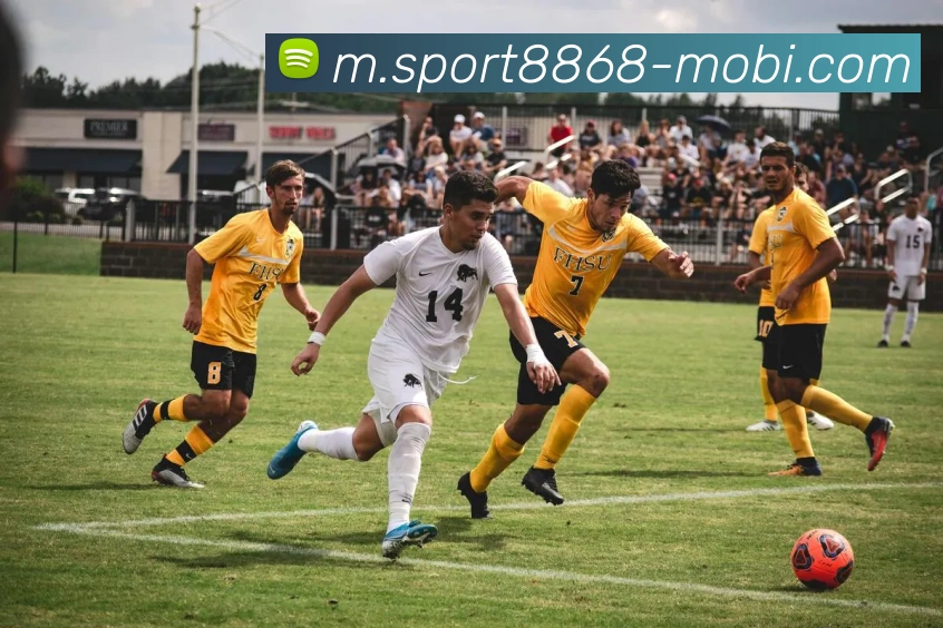 多媒体互动体验